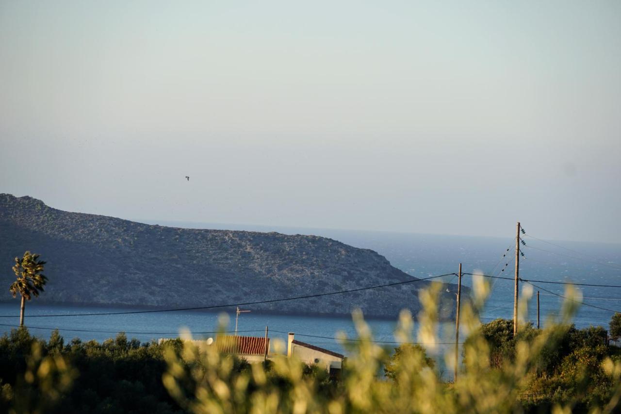 Olive Tree Hillside Apartment ستالوس المظهر الخارجي الصورة