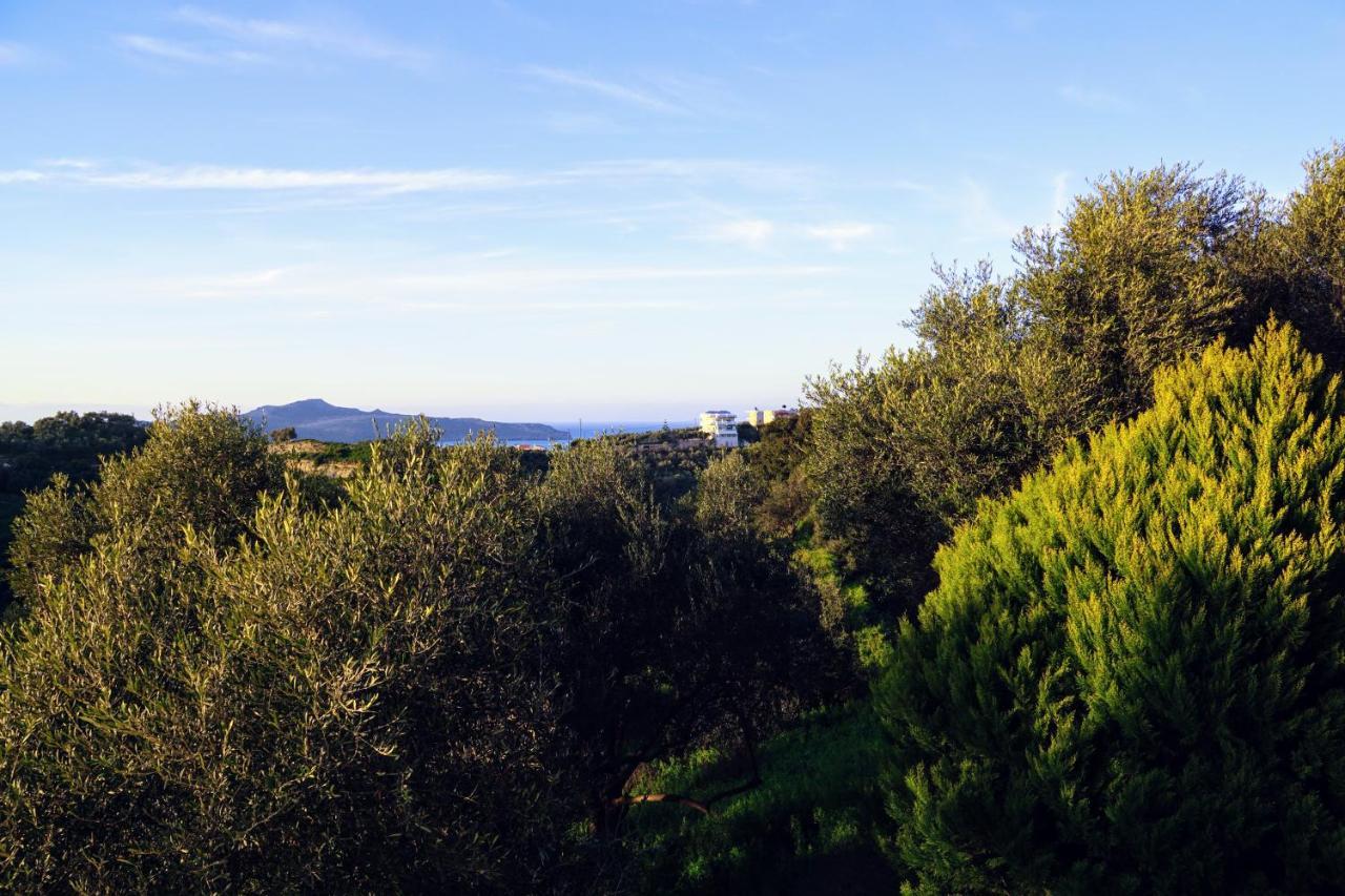 Olive Tree Hillside Apartment ستالوس المظهر الخارجي الصورة