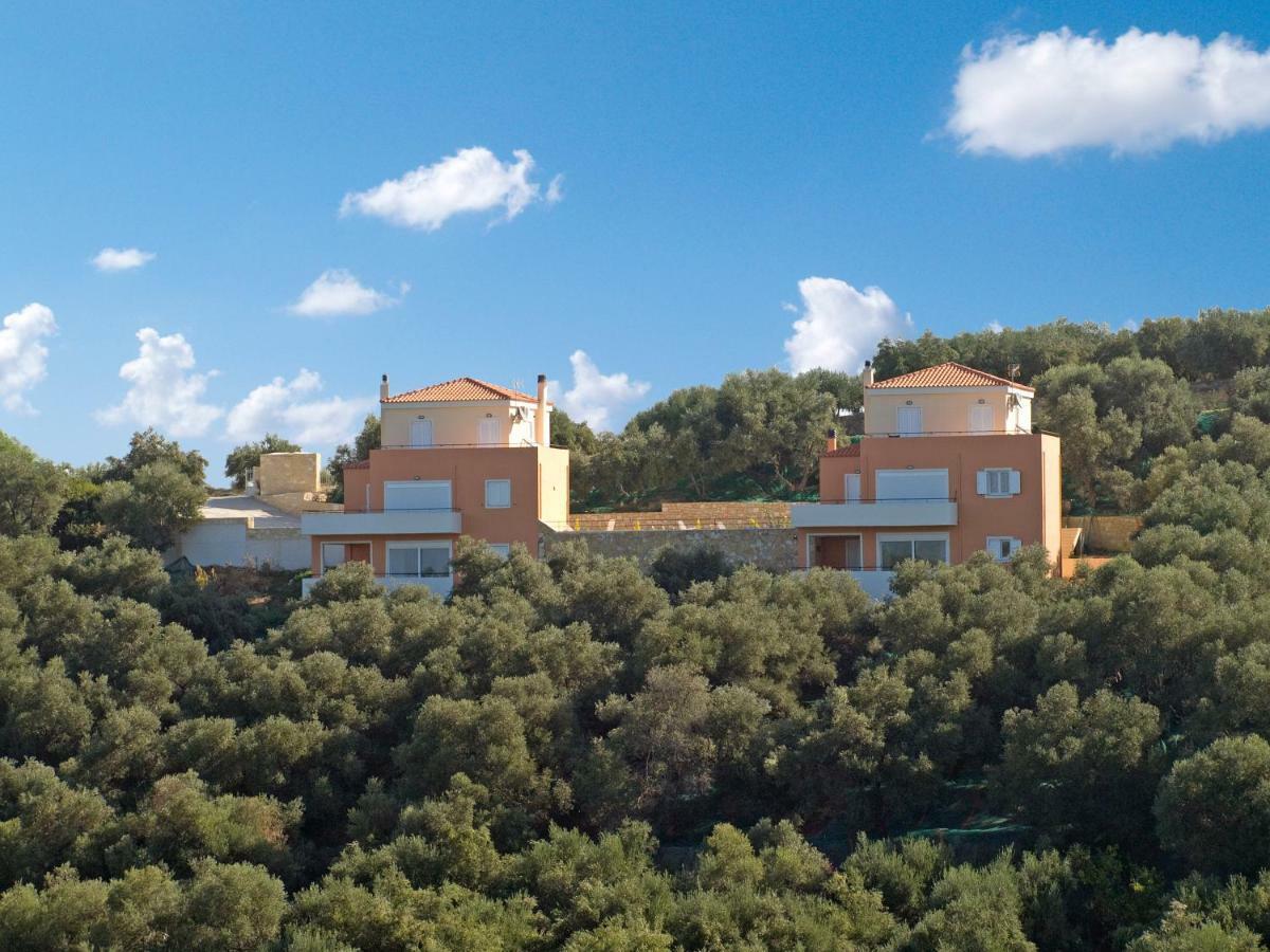 Olive Tree Hillside Apartment ستالوس المظهر الخارجي الصورة